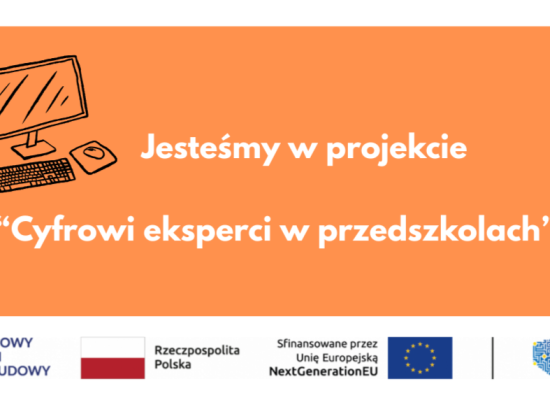 grafika do wpisu: Cyfrowi eksperci
